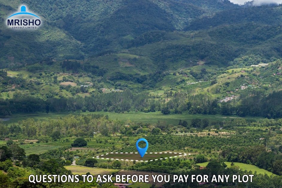 Buy Land in Tanzania