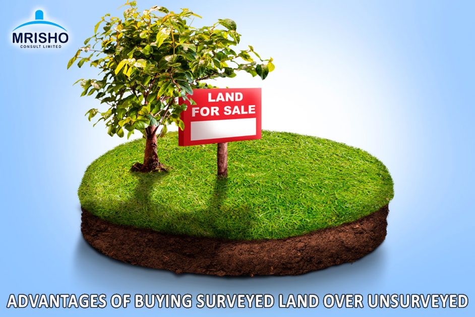 Land Investment