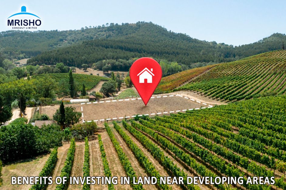 Land Investment